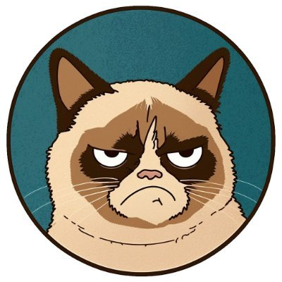 Grumpy Cat